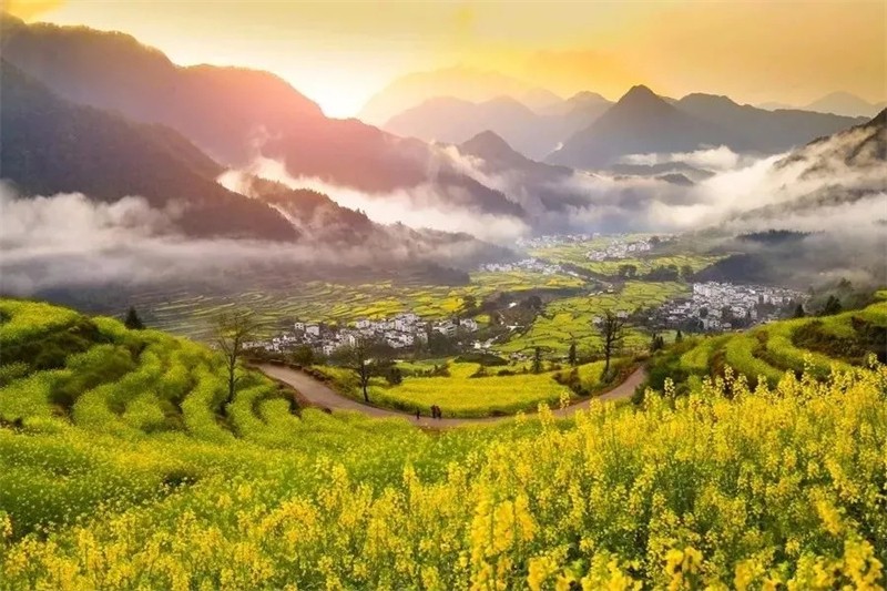 һƬ�S������ɫ���o߅���˽��{��