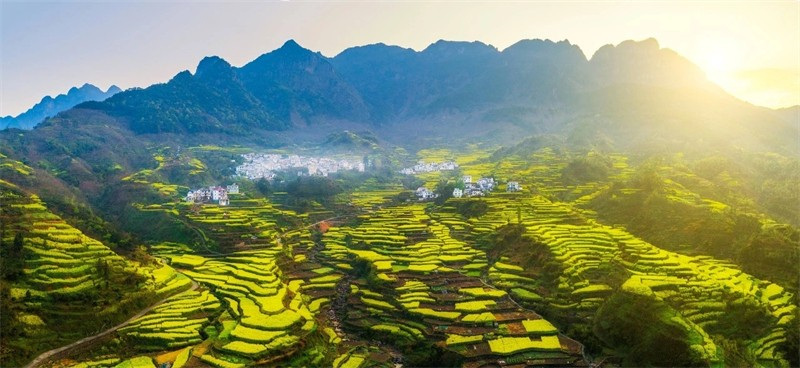 һƬ�S������ɫ���o߅���˽��{��