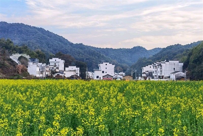 һƬ�S������ɫ���o߅���˽��{��