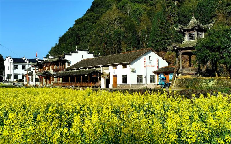 һƬ�S������ɫ���o߅���˽��{��