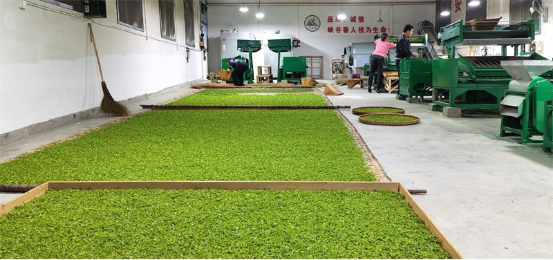 �����F��