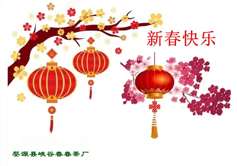 ���괺�L���괺�Ĵ��Z�R���A