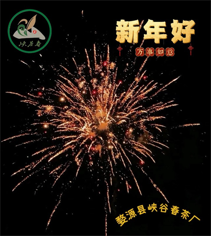 ���괺�L���괺�Ĵ��Z�R���A