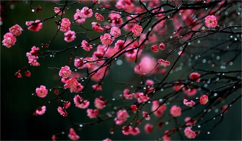 ���괺�L���괺�Ĵ��Z�R���A