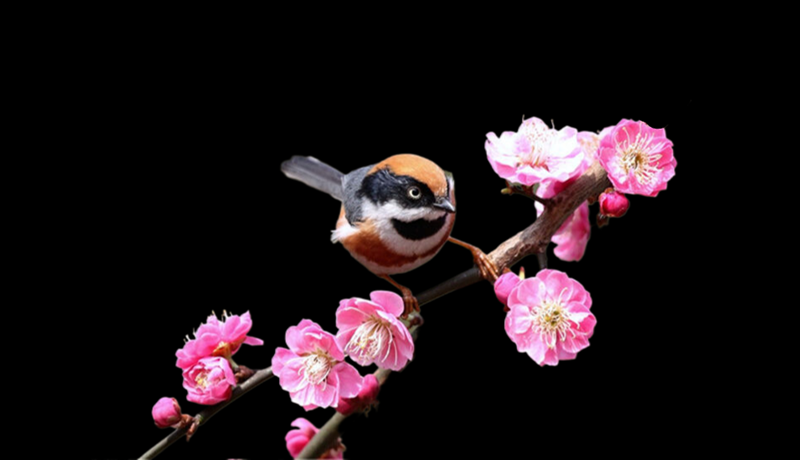 ���괺�L���괺�Ĵ��Z�R���A