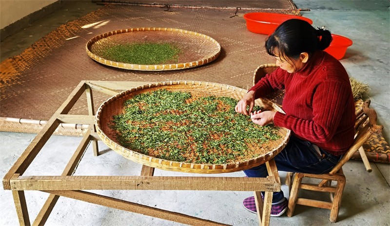 ������ɫ-�{�ȴ�