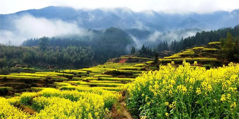 ���L���괺������������