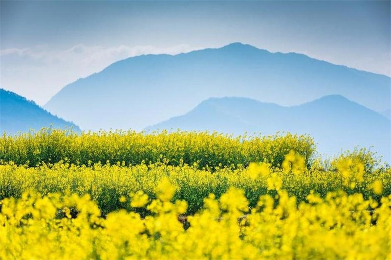 ���L���괺������������