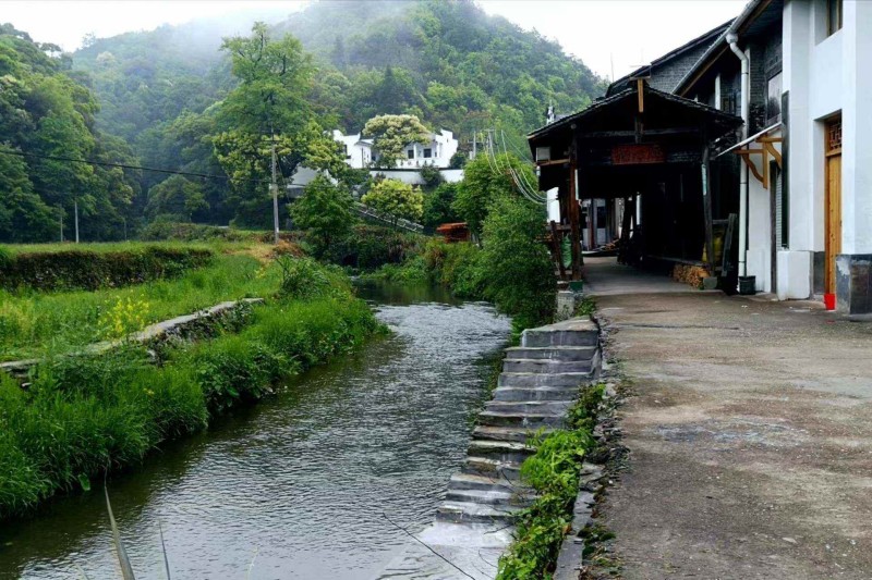 �{�ȴ���