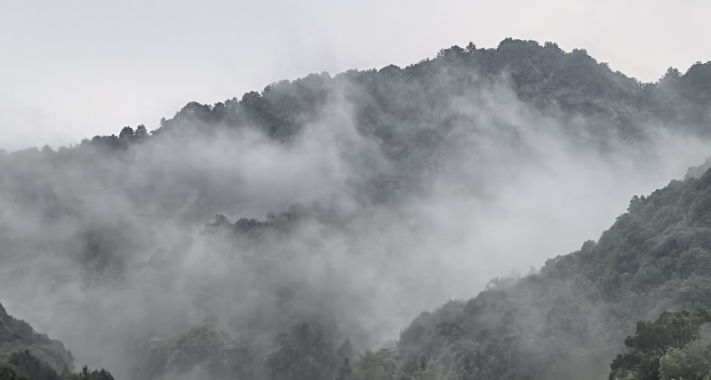 �{�ȴ���