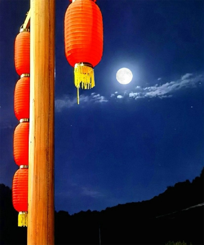 �����F��~���S�����l���������������ݴ�����h��