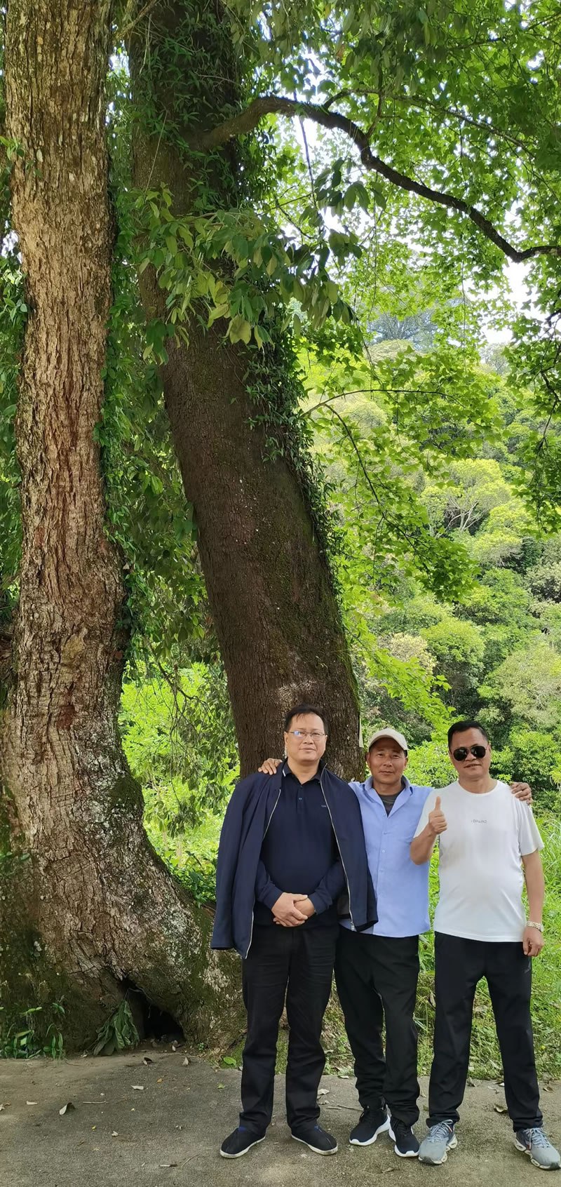 �����F��~���S�����l���������������ݴ�����h��