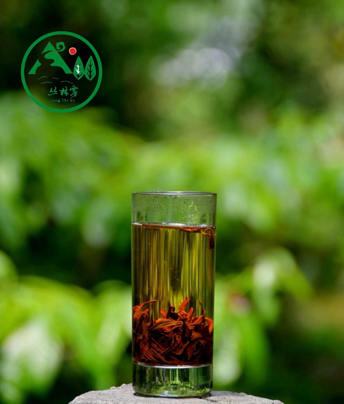 �����F��~���S�����l���������������ݴ�����h��