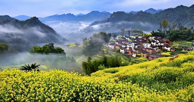 ������ɫ-�{�ȴ���