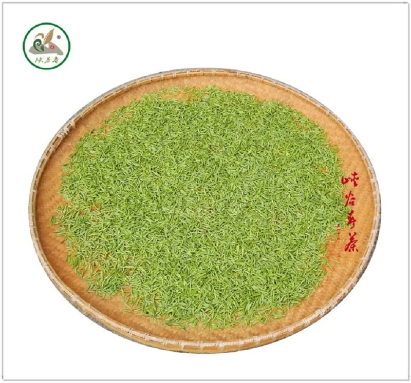 �����F��~���S�����l���ӡ����������ݴ�����h��