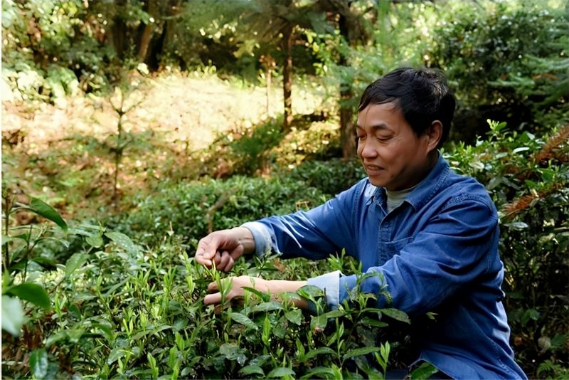 �R�F�w�c��Դ�{�ȴ���