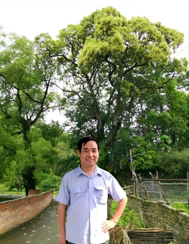 ����V���R�F�w