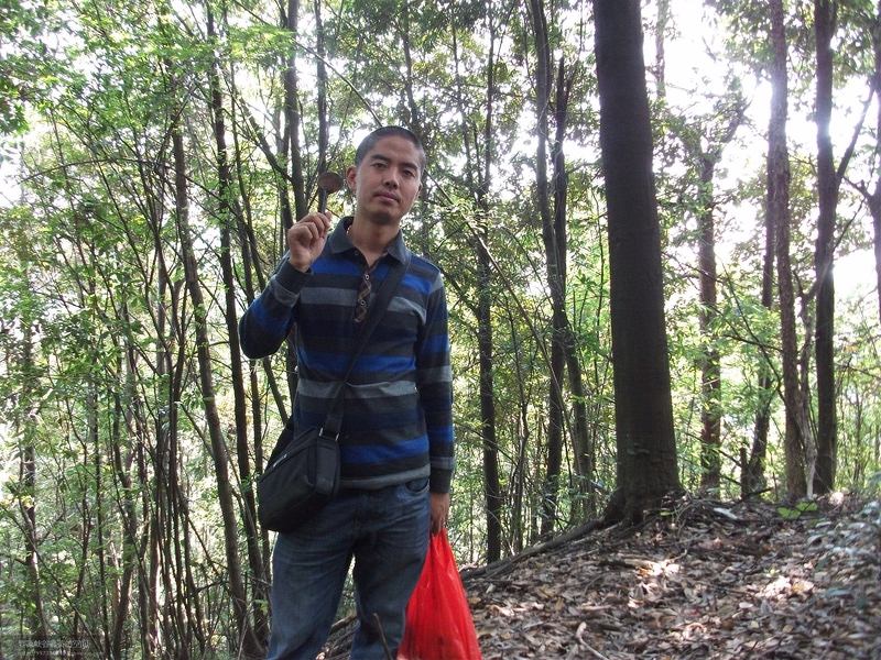 �R�F�w�c��Դ�{�ȴ���